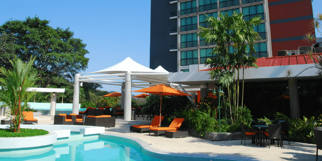 summit rainforest 9